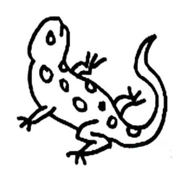 Elementary school student gecko simple strokes picture