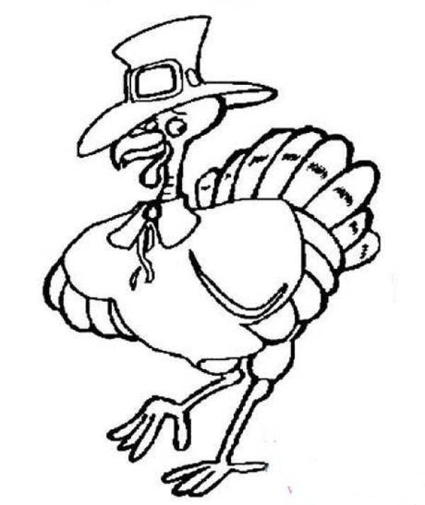 Cartoon Turkey Simple Drawing Picture