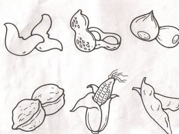 Simple drawings of various vegetables and fruits