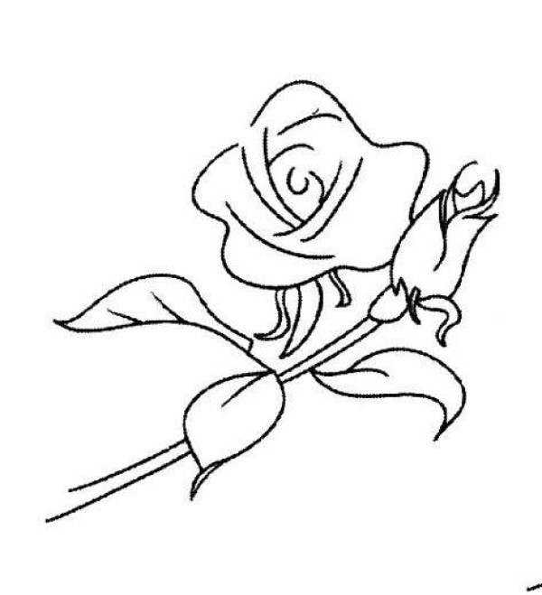 Childrens simple drawing: rose