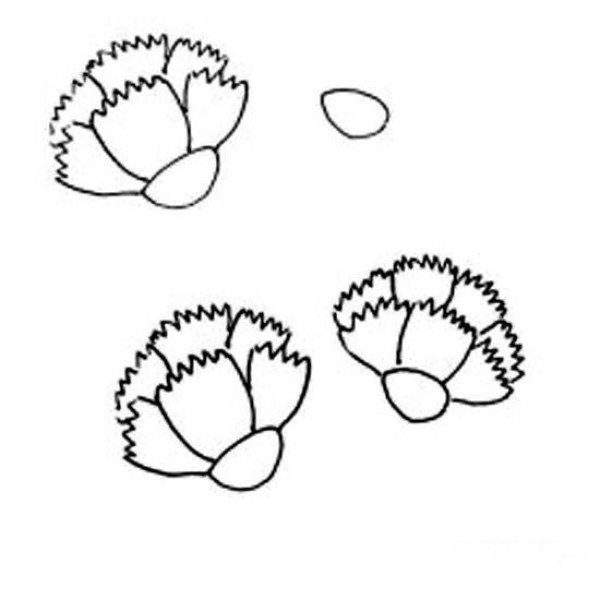 How to draw carnations in simple strokes for children: How to draw carnations