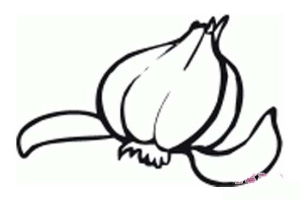 Childrens simple drawing pictures of onions