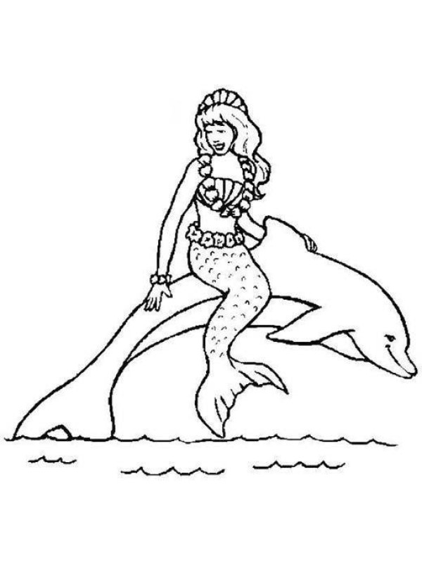 Mermaid Story Simple Drawing: Mermaid and Dolphin