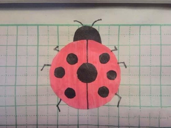 Simple drawing of colorful seven-star ladybug