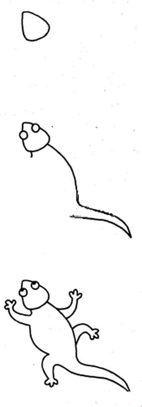 Steps to draw a lizard in simple strokes: How to draw a lizard