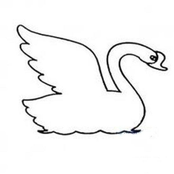 Childrens simple drawing pictures of swans