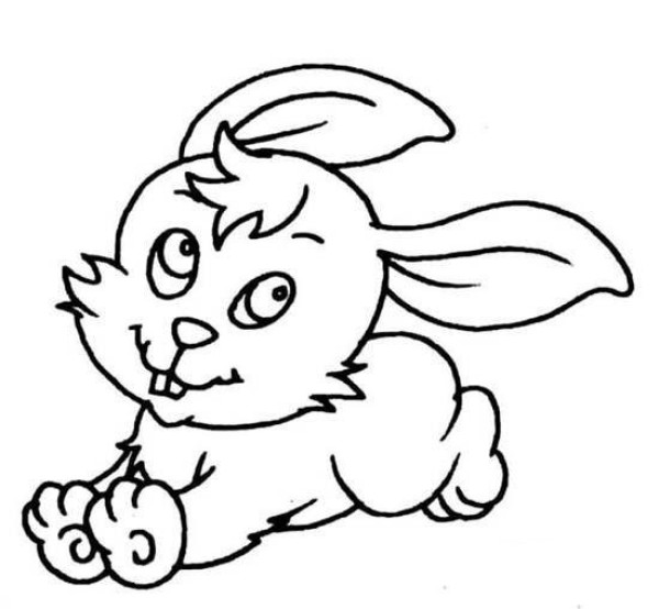 Simple animal drawings for children: cute little white rabbit