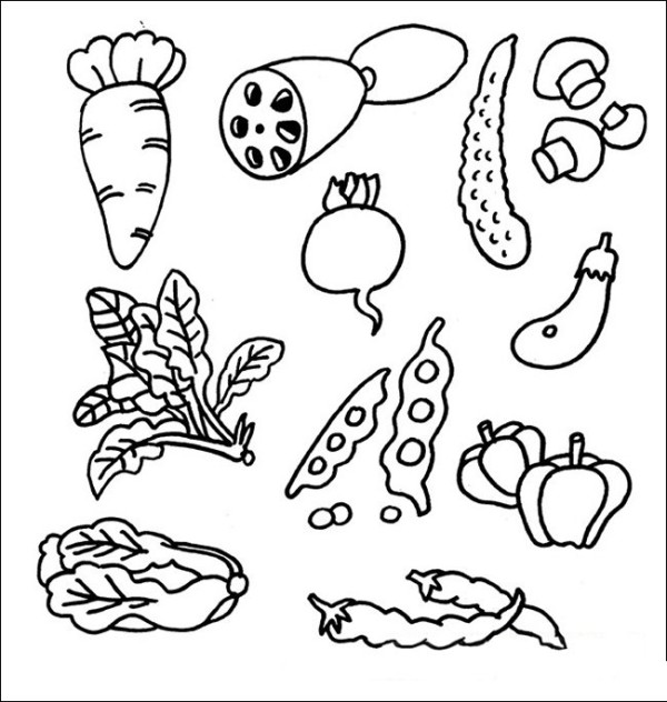 Simple drawing of vegetables