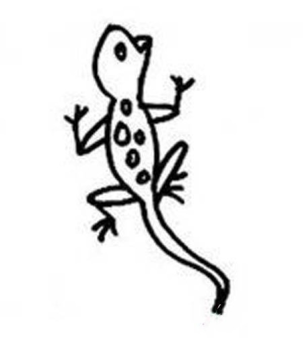 Childrens simple drawing pictures of little geckos