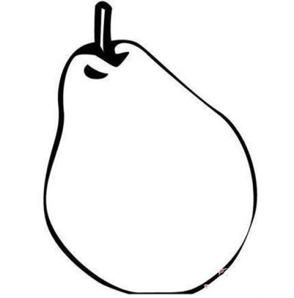 Simple drawing of 1 pear