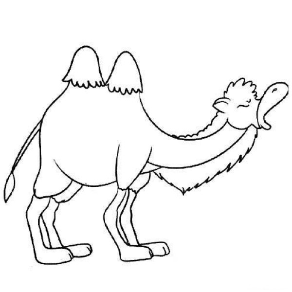 Childrens simple drawing pictures of camels