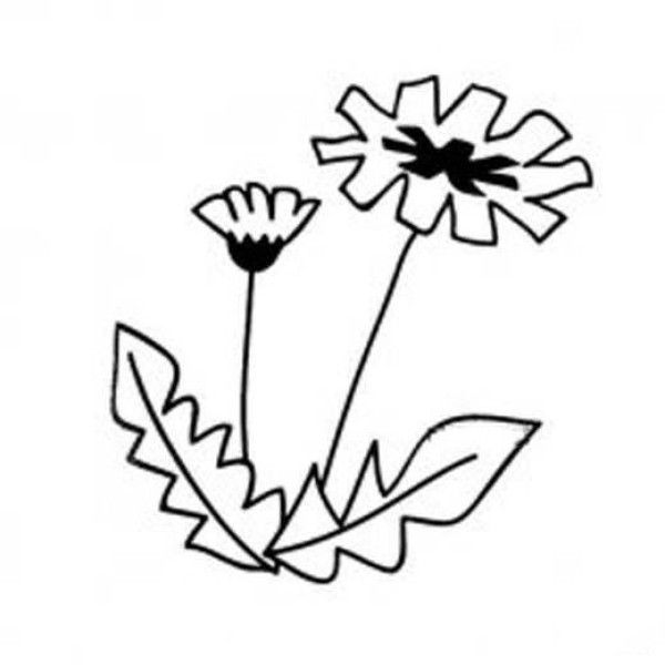 Complete collection of simple strokes of dandelion for children