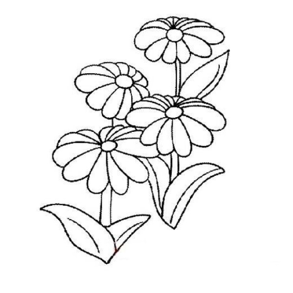 Simple drawing of chrysanthemums for children: four chrysanthemums