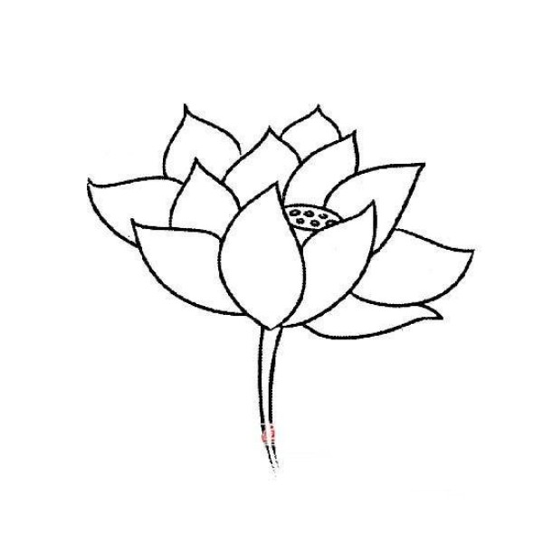 Simple drawing of flower: lotus