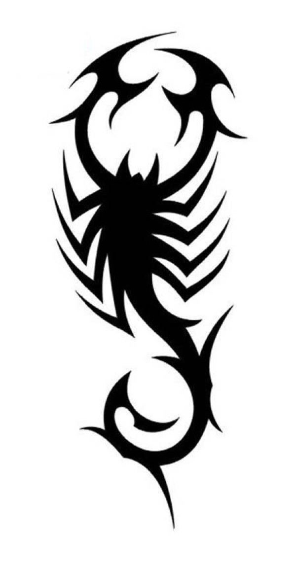 Scorpion Tattoo Simple Drawing Picture