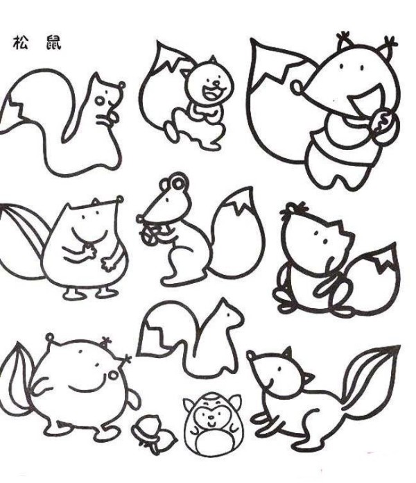 A complete collection of simple drawing pictures of various squirrels