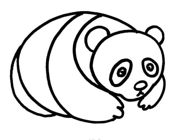 Panda simple drawing pictures