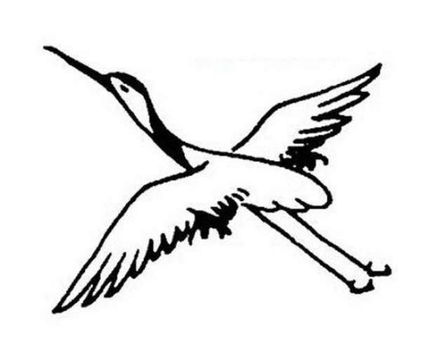 Simple drawing picture of red-crowned crane flying in the sky