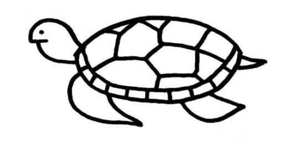 Simple drawing of turtle swimming in water