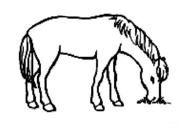 Simple drawing of horse eating grass