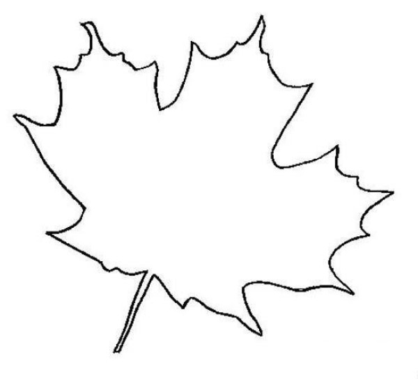 Simple strokes of sycamore leaves