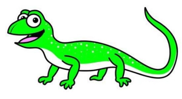 Simple color animal drawings for children: lizard