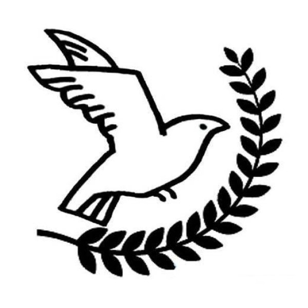 Primary school students' hand-drawn simple picture of peace dove