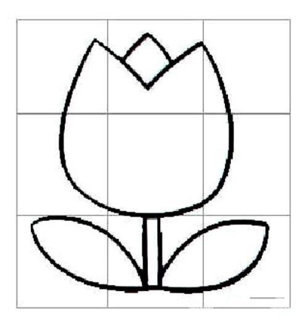 Simple drawing of tulips