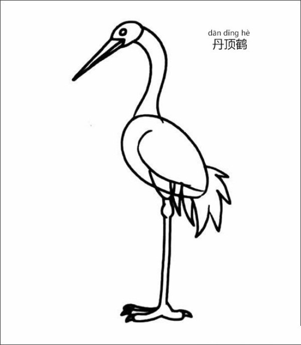 Simple strokes of red-crowned crane