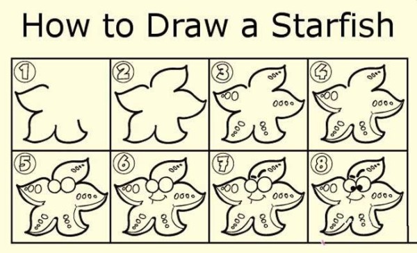 Starfish simple drawing tutorial: How to draw a starfish