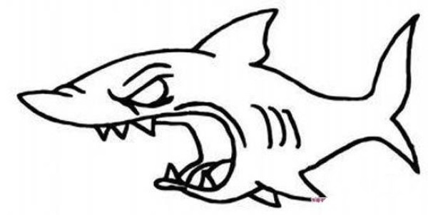 Ferocious shark simple drawing picture