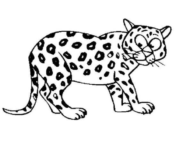 Leopard simple drawing pictures