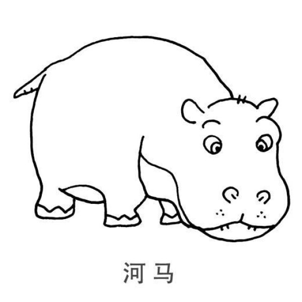 Childrens simple drawing pictures of hippopotamus