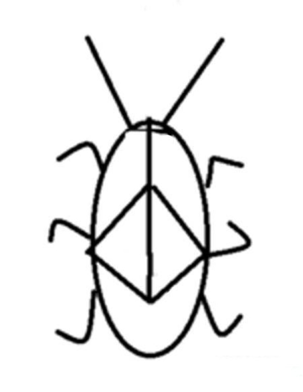 Simple cockroach drawing pictures in kindergarten