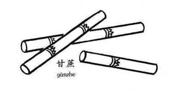 Childrens simple drawing picture of three-section sugarcane