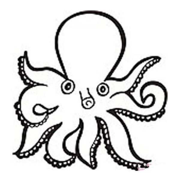 A complete collection of simple drawing pictures about octopus