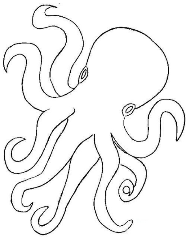 Simple picture of octopus in the sea