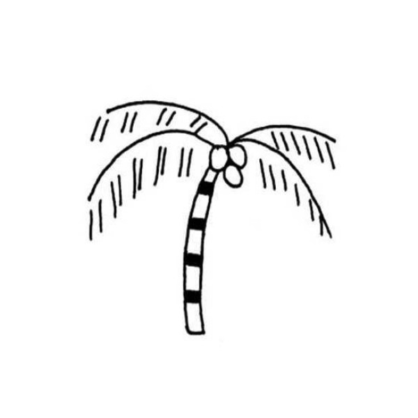 Coconut tree simple strokes picture