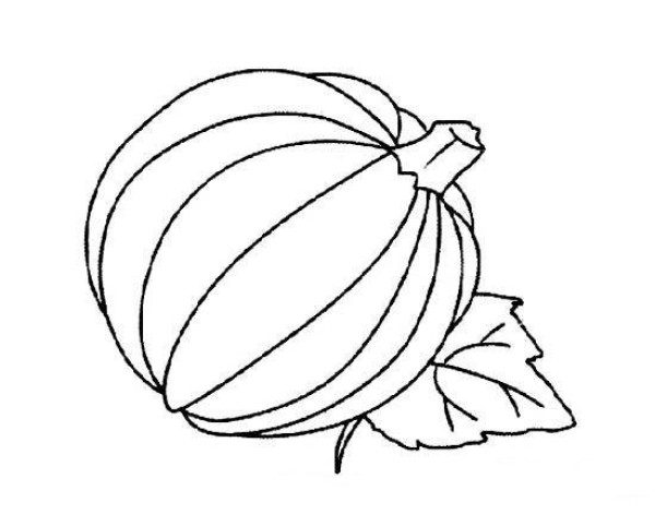 Simple drawing picture of pumpkin with leaves