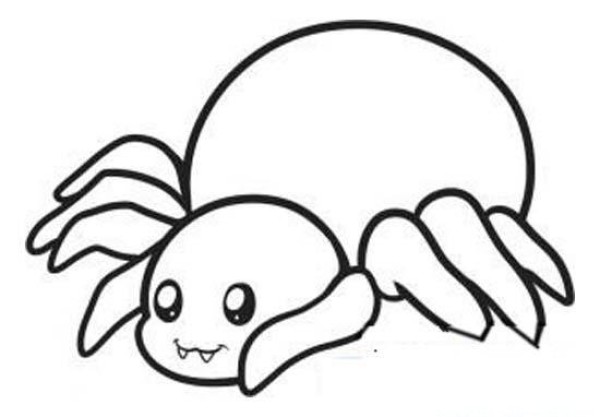 Cute little spider simple drawing picture