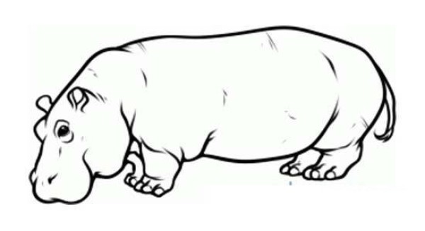 Complete picture of simple strokes of big hippopotamus for children