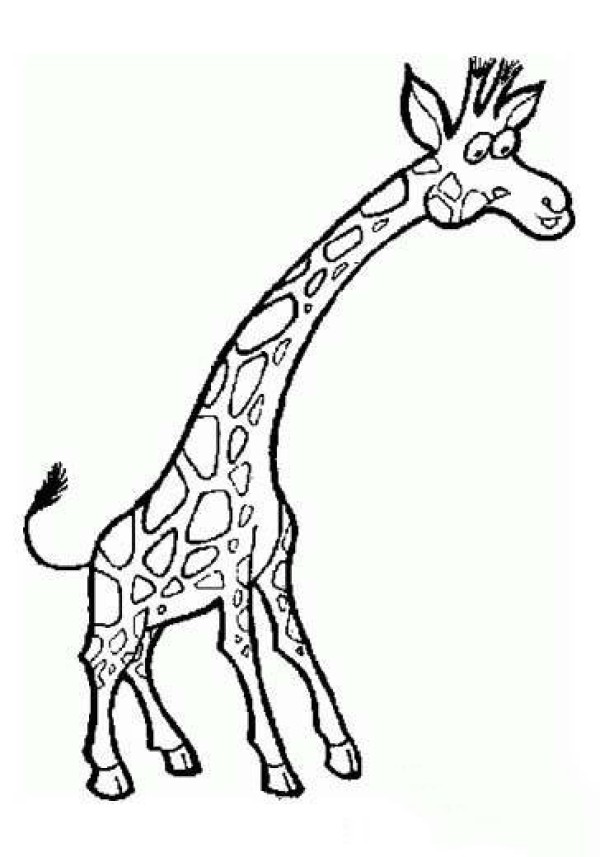 Childrens simple drawing: giraffe