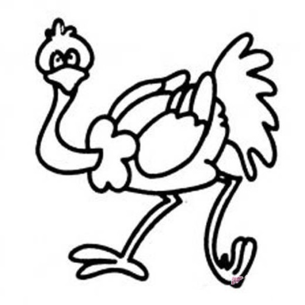 Cute Cartoon Ostrich Simple Drawing Picture