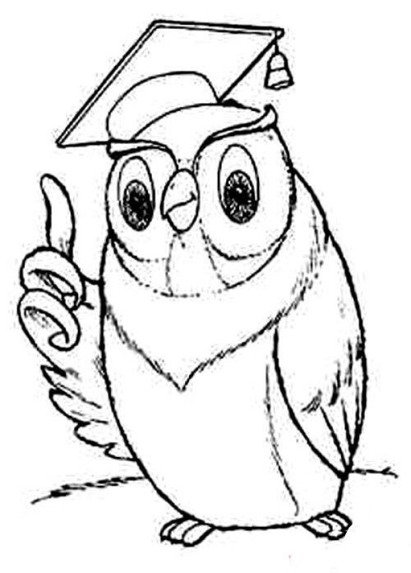 Cartoon Doctor Owl Simple Drawing Picture