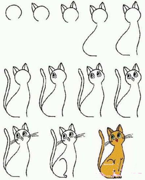 How to draw a simple cat step by step