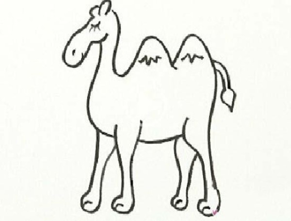 Childrens simple animal drawings: camel