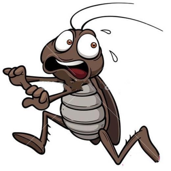 Childrens color cartoon cockroach simple drawing picture