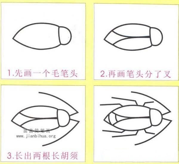 How to draw a cockroach in simple strokes: How to draw a cockroach