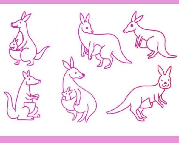 A complete collection of simple drawing pictures of various kangaroos