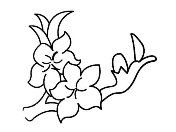 Simple strokes of peach blossom pictures